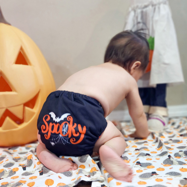 Halloween Cloth Diaper One Size Adjustable Reusable Diapers for Babies -Spooky(QD87A)