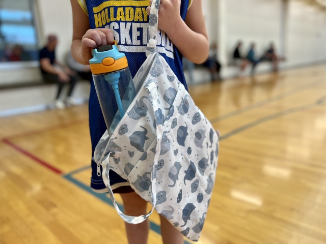 ALVABABY Diaper Wet/Dry Bag Waterproof Reusable with Two Zippered Pockets for Cloth Diapers, Swimsuits, Travel, and Gym (L-H396A)