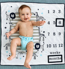 ALVABABY Solid Cloth Diaper - One Size Adjustable Washable & Reusable Diaper with Pocket for Babies (B04A Light blue)