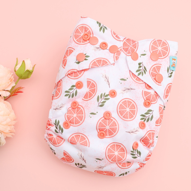 ALVABABY AWJ Lining Cloth Diaper with Tummy Panel for Babies -Orange (WJT-EW31A)