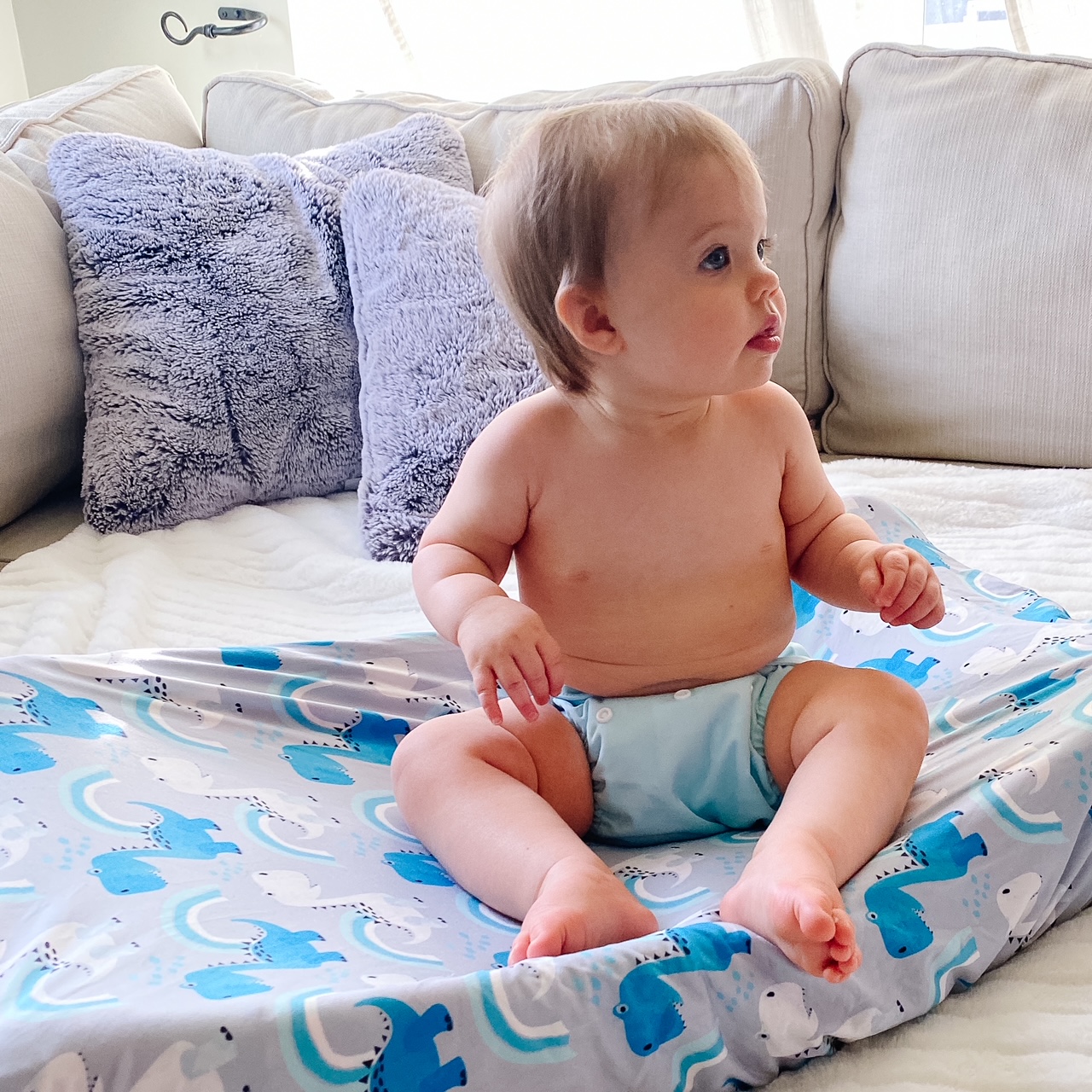 ALVABABY Newborn Cloth Diaper - Adjustable,Washable,Reusable Cloth Diaper with Pocket for Baby under 12lbs (SB03A Blue)