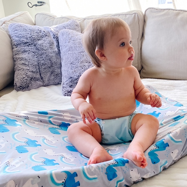 ALVABABY Newborn Cloth Diaper - Adjustable,Washable,Reusable Cloth Diaper with Pocket for Babies under 12lbs (SB03A Blue)