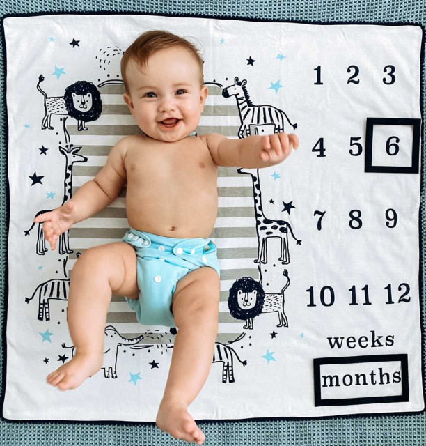 ALVABABY Newborn Cloth Diaper - Adjustable,Washable,Reusable Cloth Diaper with Pocket for Babies under 12lbs (SB03A Blue)