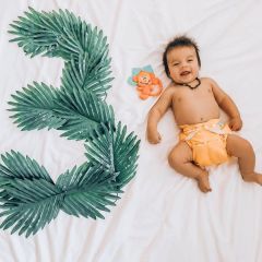 ALVABABY Newborn Cloth Diaper - Adjustable,Washable,Reusable Cloth Diaper with Pocket for Baby under 12lbs (SB17A Orange)