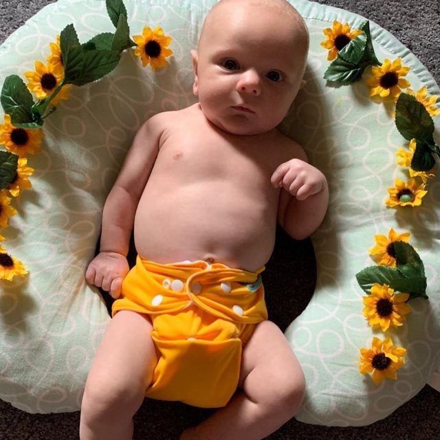 ALVABABY AWJ Lining Cloth Diaper with Tummy Panel for Babies -Yellow(WJT-B01A)