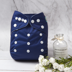 ALVABABY Solid Cloth Diaper - One Size Adjustable Washable & Reusable Diaper with Pocket for Babies (B35A Eclipse)