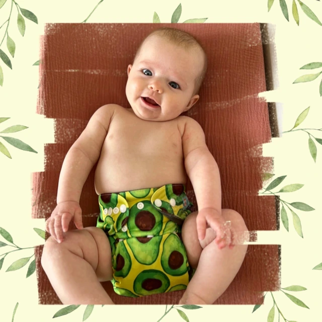 ALVABABY Printed Cloth Diaper - One Size Adjustable Washable & Reusable Diaper with Pocket for Babies (H400A Avocado)