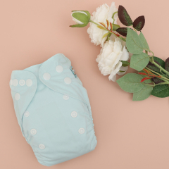 ALVABABY Newborn Cloth Diaper - Adjustable,Washable,Reusable Cloth Diaper with Pocket for Baby under 12lbs (SB02A Light green)