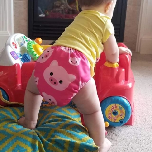 ALVABABY Positioning Cloth Diaper - One Size Adjustable Washable & Reusable Diaper for Babies and Toddlers (YD35A Pink Pig )