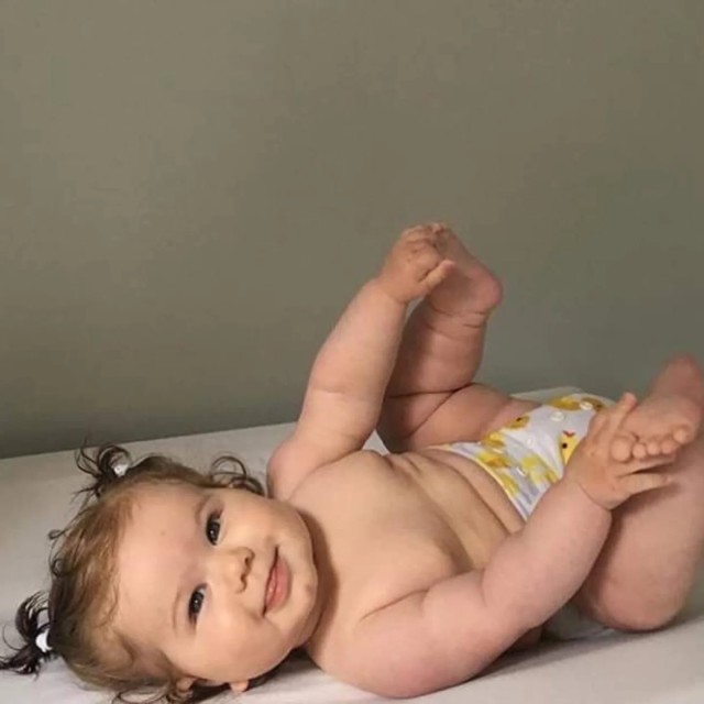 ALVABABY Printed Cloth Diaper - One Size Adjustable Washable & Reusable Diaper with Pocket for Babies (A24A Ducks)