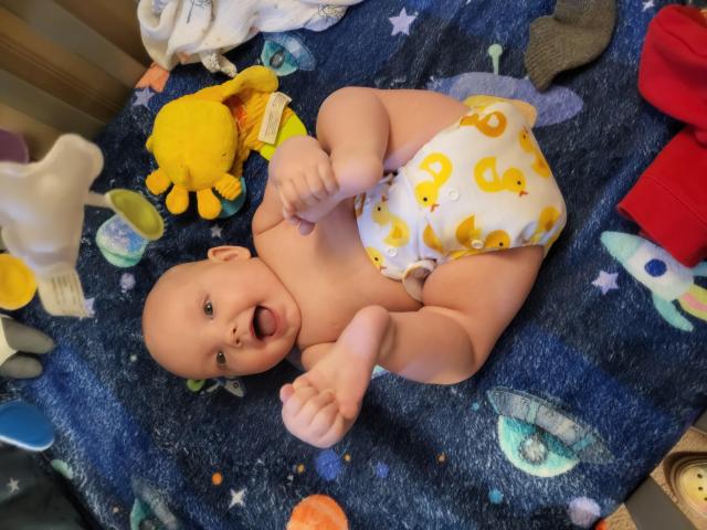 ALVABABY Printed Cloth Diaper - One Size Adjustable Washable & Reusable Diaper with Pocket for Babies (A24A Ducks)