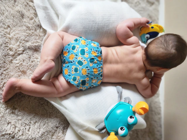 ALVABABY Reusable Swim Diaper - Adjustable One Size Swimwear for Infants & Toddlers (Crab, SW-BS88A)