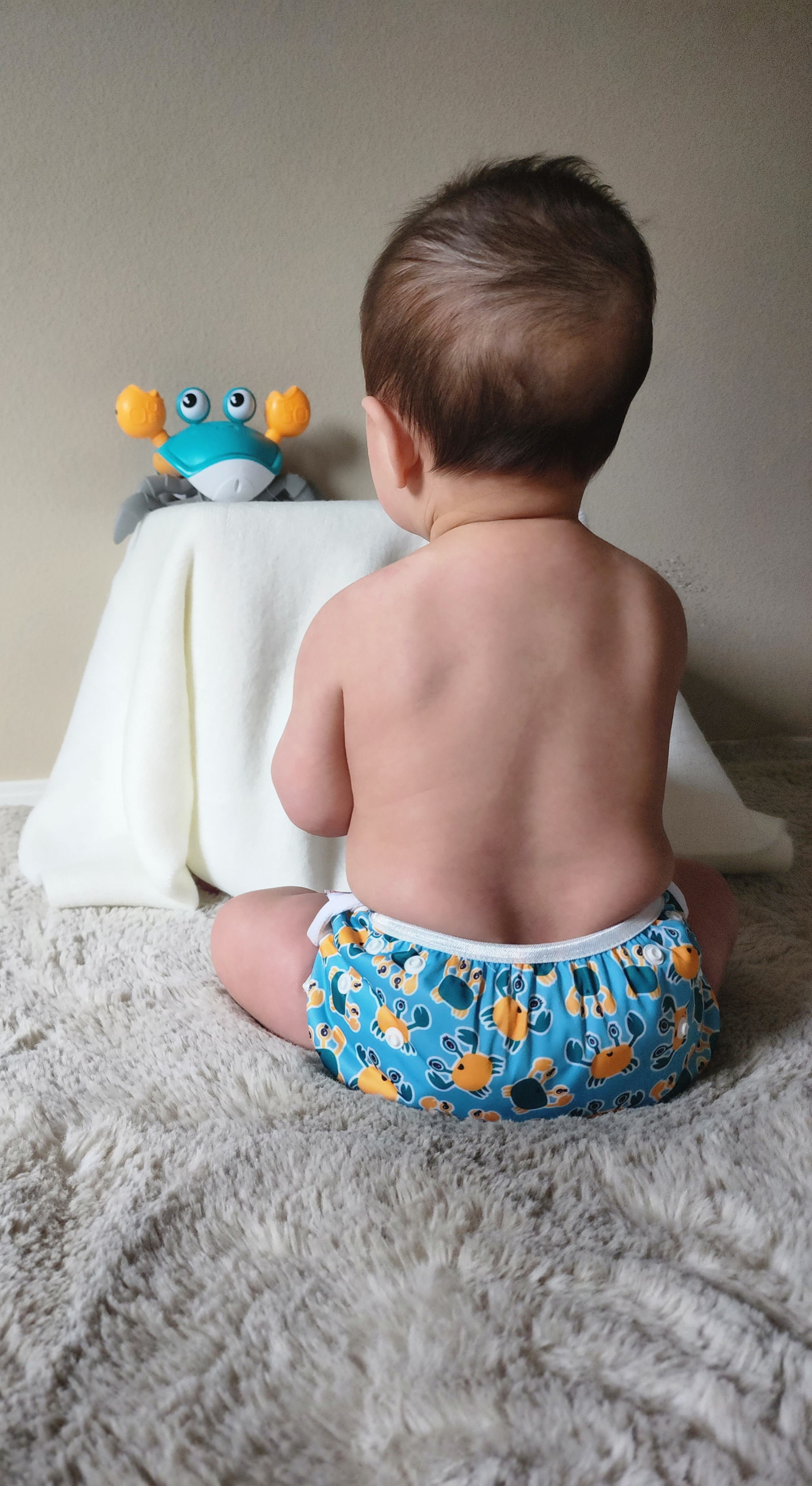 ALVABABY Reusable Swim Diaper - Adjustable One Size Swimwear for Infants & Toddlers (Crab, SW-BS88A)
