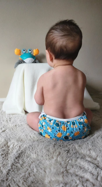 ALVABABY Reusable Swim Diaper - Adjustable One Size Swimwear for Infants & Toddlers (Crab, SW-BS88A)