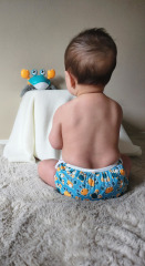 ALVABABY Reusable Swim Diaper - Adjustable One Size Swimwear for Infants & Toddlers (Crab, SW-BS88A)