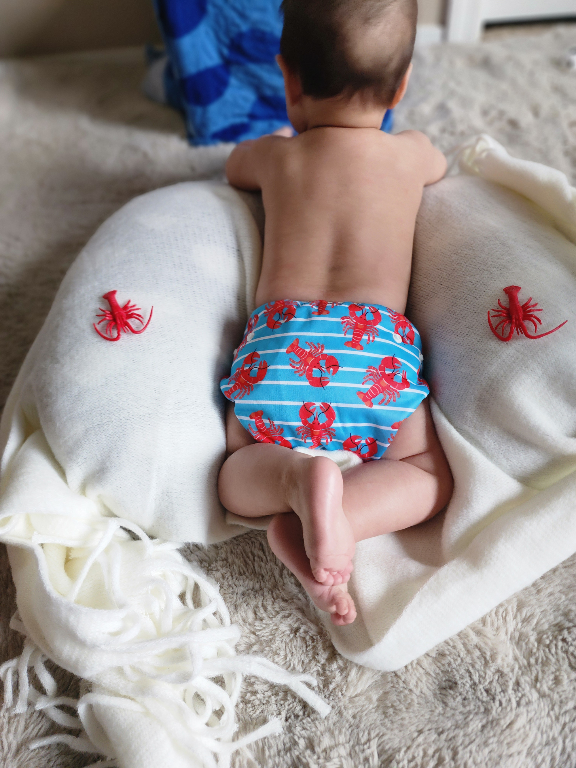 ALVABABY Reusable Swim Diaper - Adjustable One Size Swimwear for Infants & Toddlers (Crayfish, SW-BS90A)