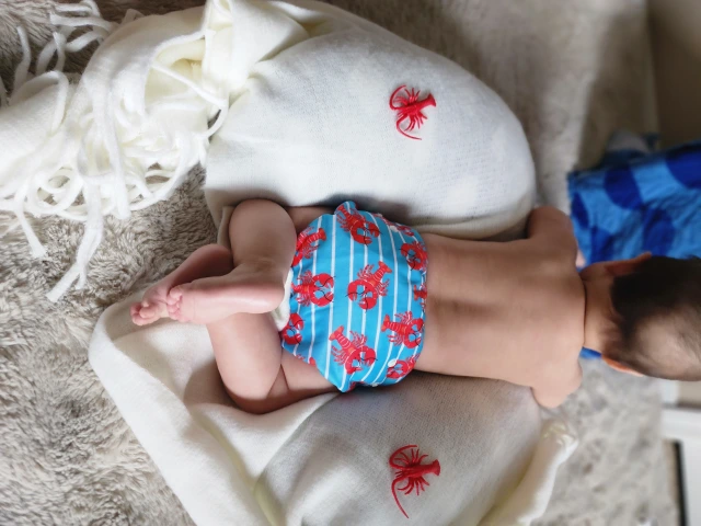 ALVABABY Reusable Swim Diaper - Adjustable One Size Swimwear for Infants & Toddlers (Crayfish, SW-BS90A)