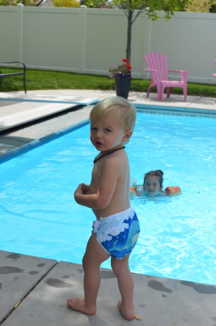 ALVABABY Reusable Swim Diaper - Adjustable One Size Swimwear for Infants & Toddlers (Whale, SWD41A)