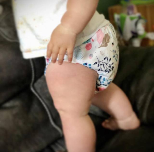 ALVABABY Printed Cloth Diaper - One Size Adjustable Washable & Reusable Diaper with Pocket for Babies (H050A Flowers)