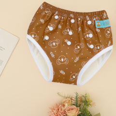 ALVABABY Printed Toddler Training Pant Training Underwear for Potty Training (X-EW17A)