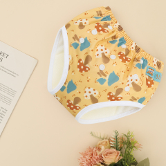 ALVABABY Printed Toddler Training Pant Training Underwear for Potty Training (X-EW26A)