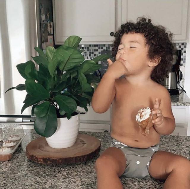 All In One Diaper with Pocket Sewn-in one 4-layer Bamboo blend insert (AO-B29A)