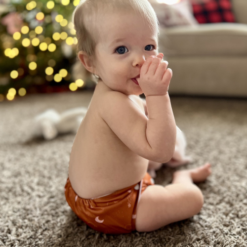 ALVABABY AWJ Lining Cloth Diaper with Tummy Panel for Babies -Moon(WJT-H443A)