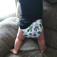 ALVABABY Print Cloth Diaper - One Size Adjustable Washable & Reusable Diaper for Babies and Toddlers (Cactus, H134A)