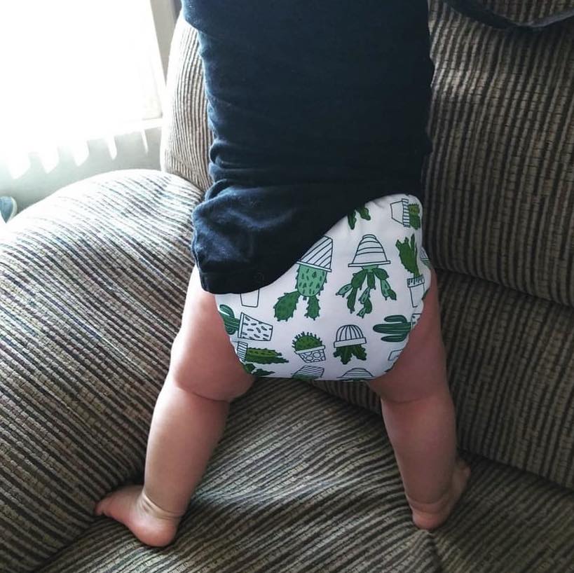 ALVABABY AWJ Lining Cloth Diaper with Tummy Panel for Babies -Cactus(WJT-H134A)