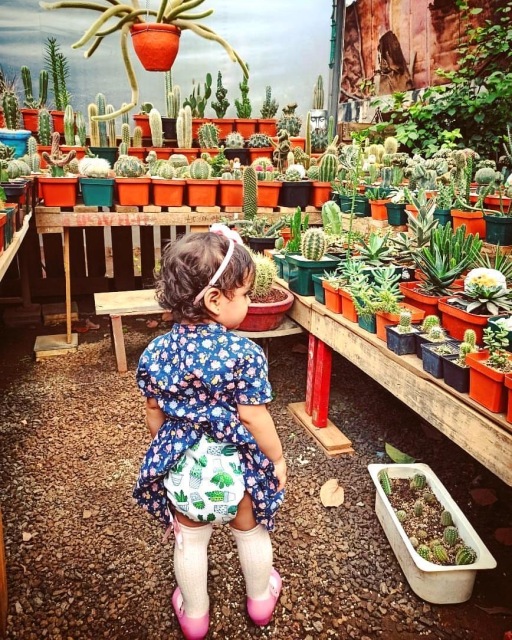 ALVABABY Newborn Cloth Diaper - Adjustable,Washable,Reusable Cloth Diaper with Pocket for Baby under 12lbs (SH134A Cactus)