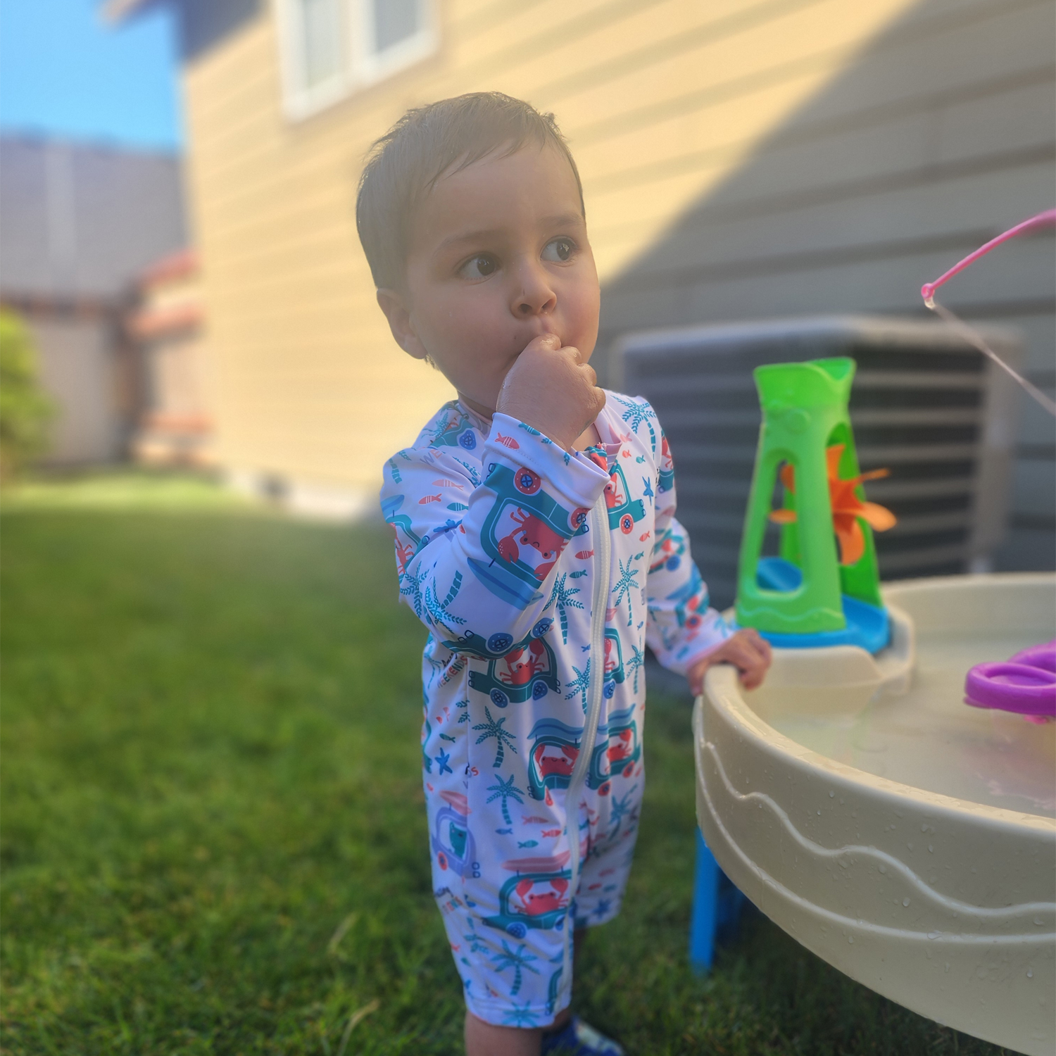 ALVABABY Baby Long Sleeve Swimsuit, One-Piece Rash Guard Set with UPF 50+ Sun Protection(Crab, ST-Q05)