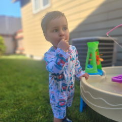 ALVABABY Baby Long Sleeve Swimsuit, One-Piece Rash Guard Set with UPF 50+ Sun Protection(Crab, ST-Q05)