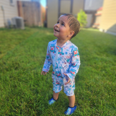 ALVABABY Baby Long Sleeve Swimsuit, One-Piece Rash Guard Set with UPF 50+ Sun Protection(Crab, ST-Q05)