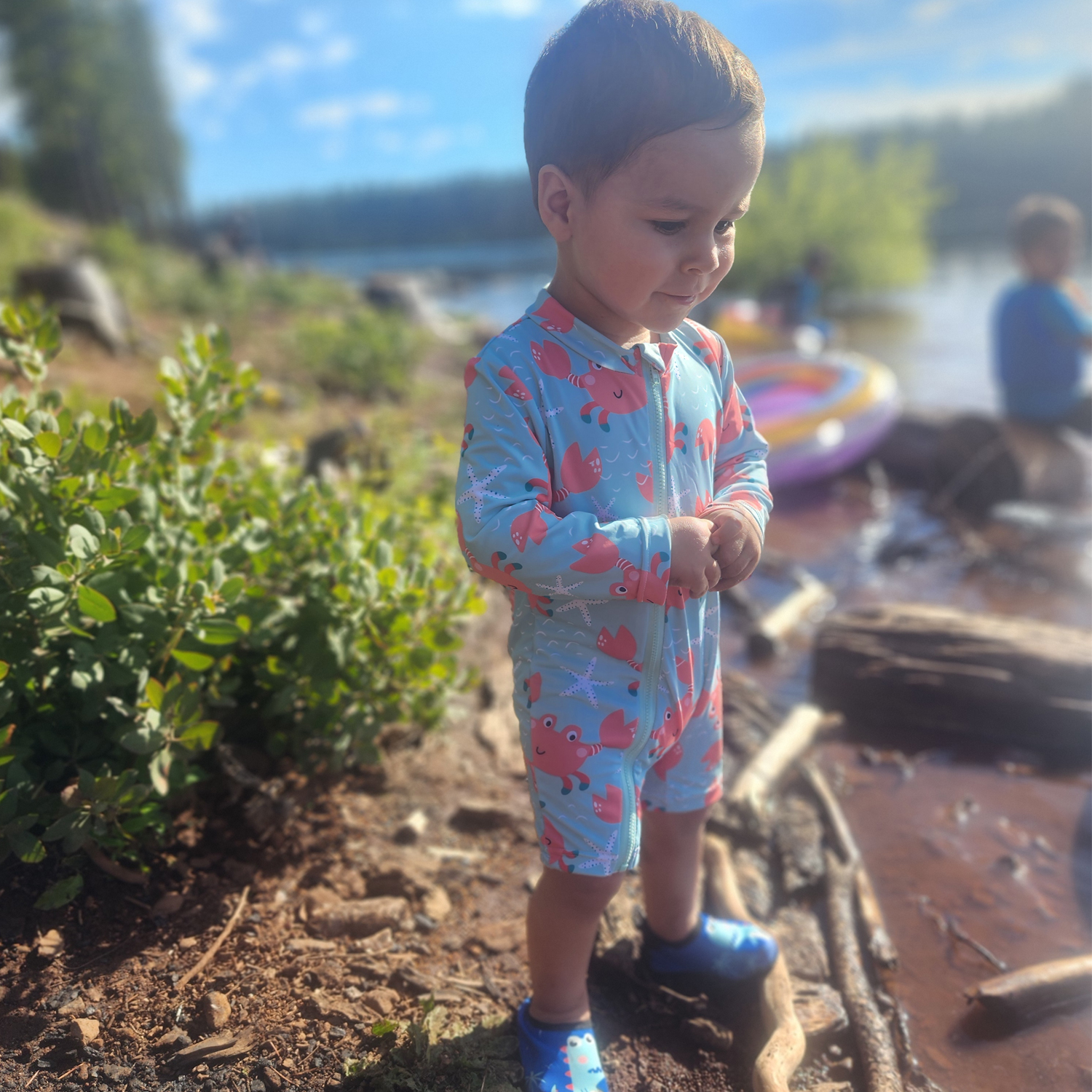 ALVABABY Baby Long Sleeve Swimsuit, One-Piece Rash Guard Set with UPF 50+ Sun Protection(Crab, ST-Q08)