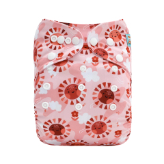 ALVABABY Positioning Cloth Diaper - One Size Adjustable Washable & Reusable Diaper for Babies and Toddlers (Lion, YDP256A)