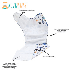 ALVABABY AWJ Lining Cloth Diaper with Tummy Panel for Babies -(WJT-ED27A)