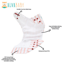 ALVABABY AWJ Lining Cloth Diaper with Tummy Panel for Babies - (WJT-EW59A)