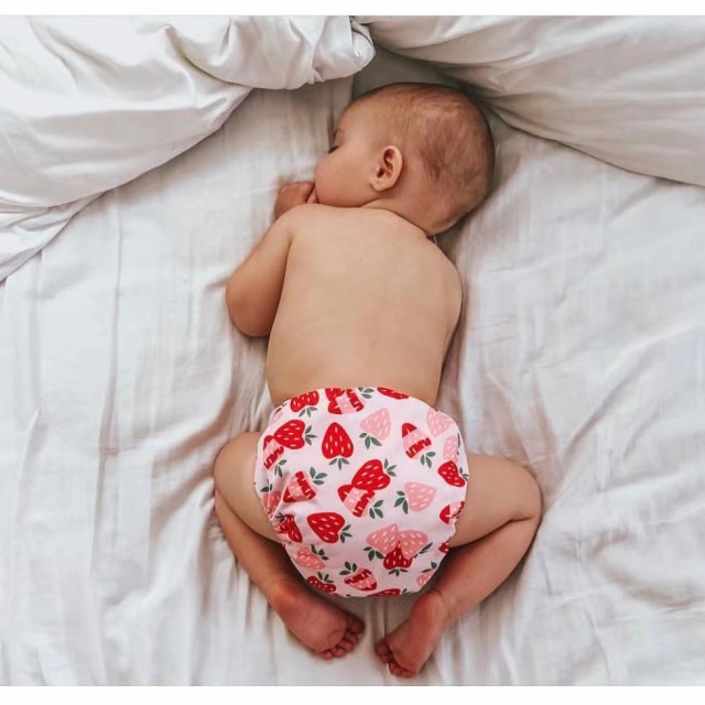 ALVABABY Big Size Cloth Diaper | Adjustable & Leakproof (Strawberry, ZH037A)