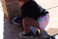 ALVABABY Big Size Cloth Diaper | Adjustable & Leakproof (Fox, ZH042A)