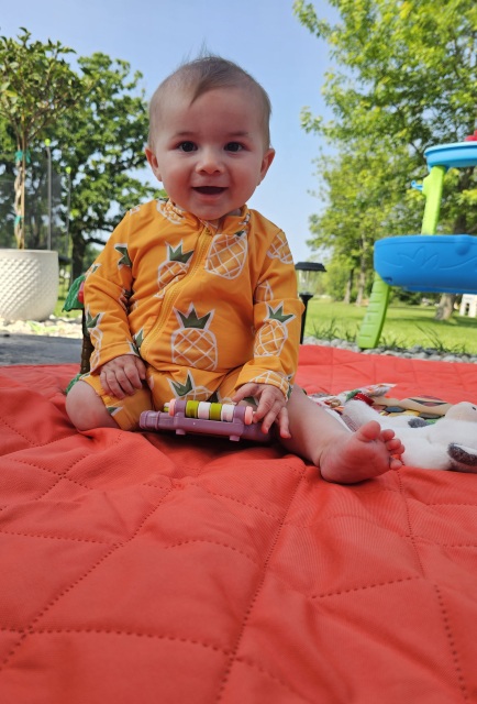 ALVABABY Baby Long Sleeve Swimsuit, One-Piece Rash Guard Set with UPF 50+ Sun Protection(Pineapple, ST-Q04)