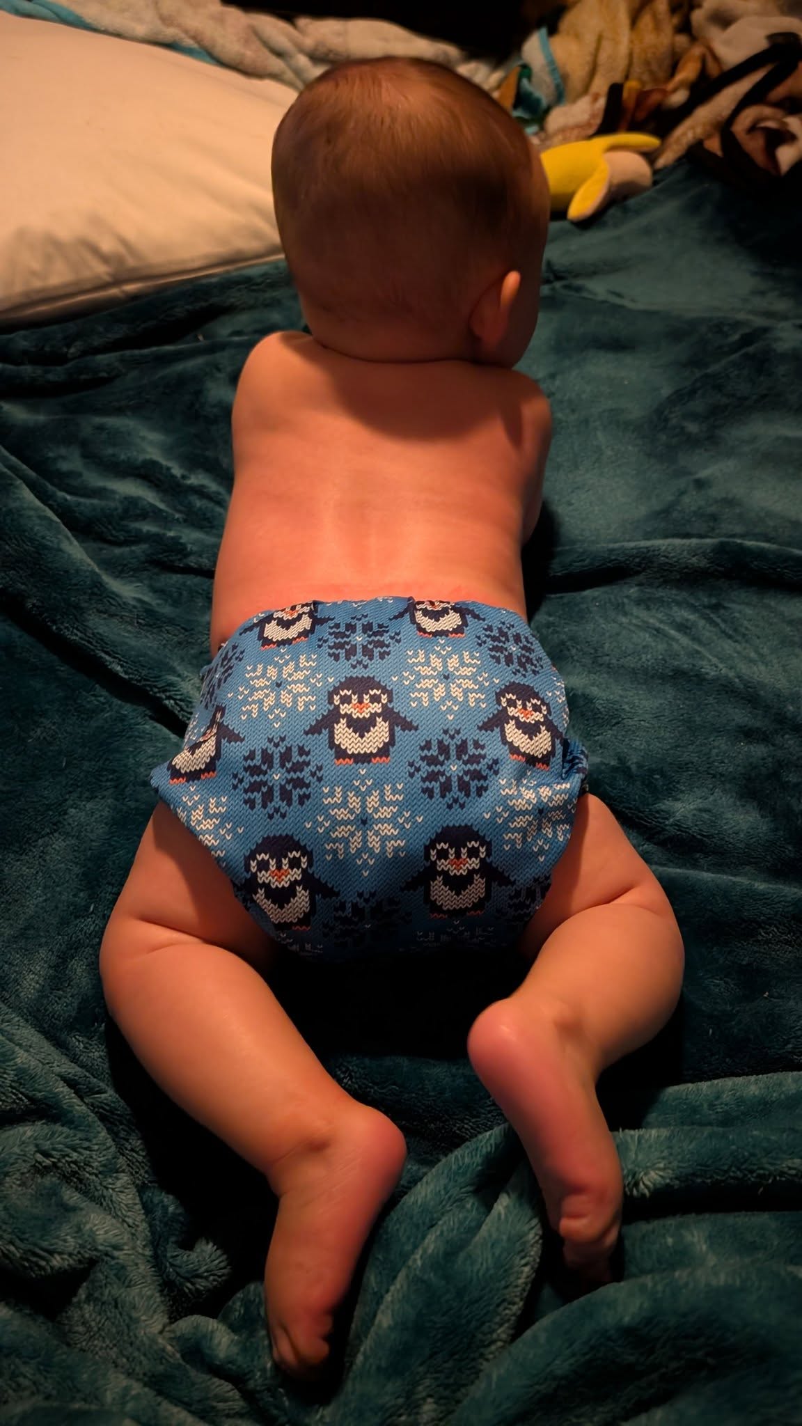 AWJ Lining Cloth Diaper with Square Ears (Penguin, WJD03A)