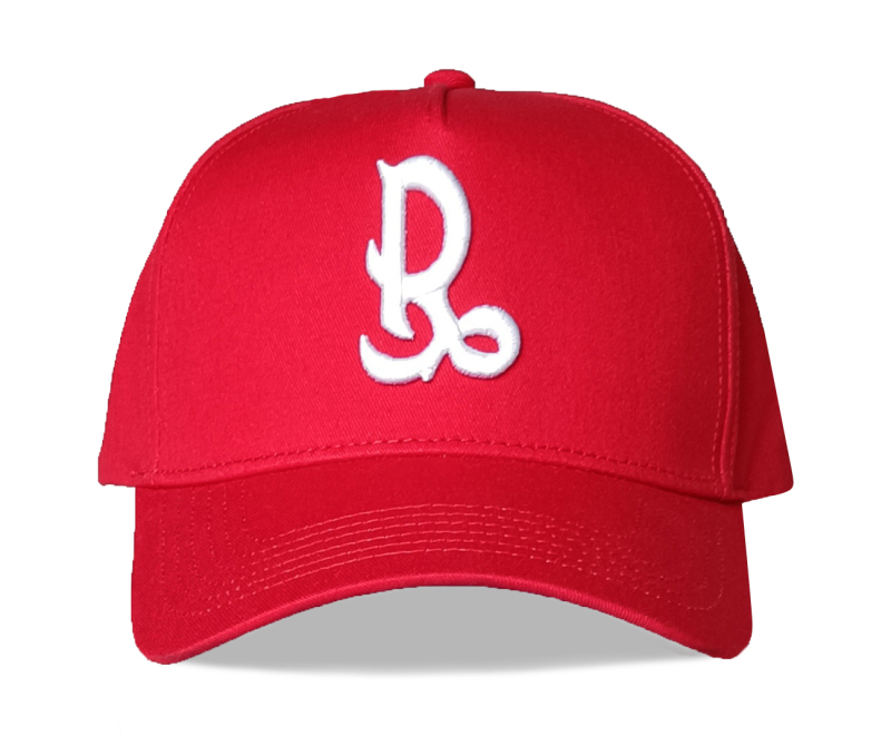 Customized Logo A Frame Baseball Cap Hat For Kids Child Toddle Hat Embroidered 5 Panel Baseball Caps
