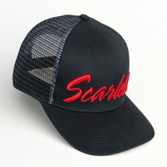 Customized 6 Panel Sport Hat Oem 3D Puff Embroidery Logo High Quality Polyester Baseball Cap Wholesale Custom Golf Trucker Hats
