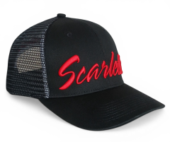 Customized 6 Panel Sport Hat Oem 3D Puff Embroidery Logo High Quality Polyester Baseball Cap Wholesale Custom Golf Trucker Hats