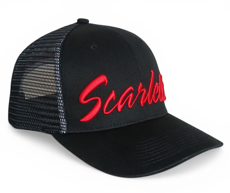 Customized 6 Panel Sport Hat Oem 3D Puff Embroidery Logo High Quality Polyester Baseball Cap Wholesale Custom Golf Trucker Hats