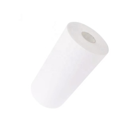 30cm Silicone Based Heat Transfer PET Film For DTF Printing