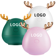 Portable Wireless Speaker