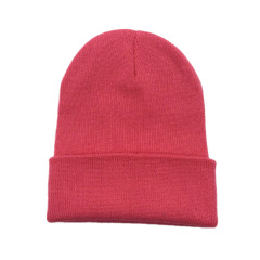 Winter Beanie Hats/Warm Cozy Knitted Cuffed Skull Cap