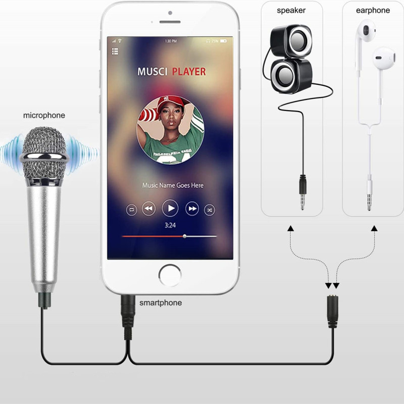Mini Portable Vocal/Instrument Microphone for Mobile Phone