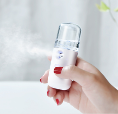Mini Handy Mist Sprayer